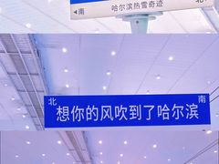 -哈尔滨热雪奇迹