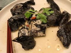 药材浸乌鸡-沙龙酒家