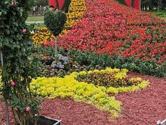 -长春公园(普阳街道)