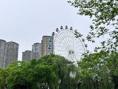 -塔子山公园