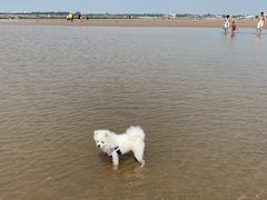 -刘家湾赶海园