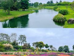-上海辰山植物园