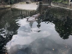 -成都动物园