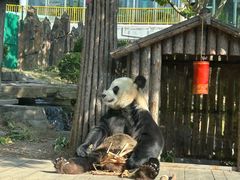 -大连森林动物园