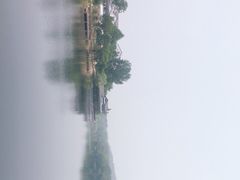 -大塘金香草谷