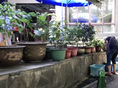 -欣怡茶庄·始于1999(梅家坞店)