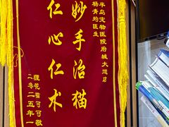 -半岛宠物医院24小时·内窥镜·牙科·碎石中心(府城大道店)