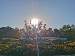 -长春市南湖公园