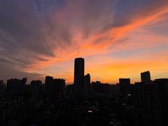-晓港公园