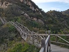 -大岭沟猕猴桃谷风景区