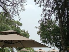 -蘇河湾·新鲁菜·泰山宴(泰山店)