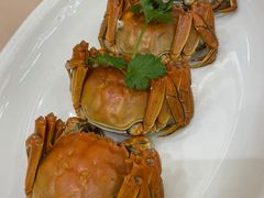 大闸蟹-东方印象大酒楼(拱北店)