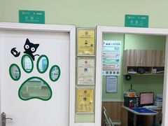 -瑞鹏宠物医院·夜间急症·心超·猫科(祖庙分店)