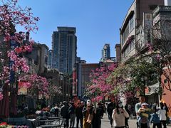 -越秀西湖花市(广州城市广场花卉店)