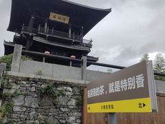 -大唐贡茶院