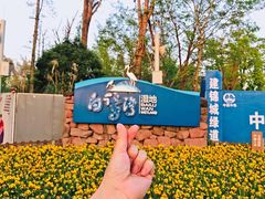 -白鹭湾湿地公园