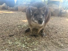 -费瑟代尔野生动物园