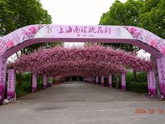 -南汇桃花村