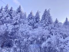 -秦岭风景区