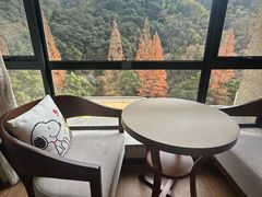 -天明山温泉大酒店