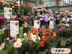 -鹿岛生活(熙地港店)
