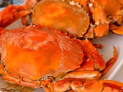 -蚝乡农庄(铁涌赤岸店)