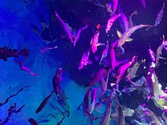 -沈阳海洋探索中心