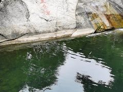 -黑龙潭风景区