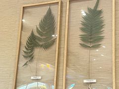 -小泉居(水坑尾店 )