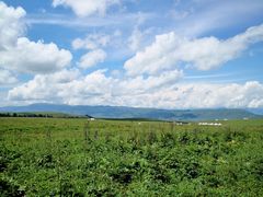 -新疆那拉提国家旅游度假区