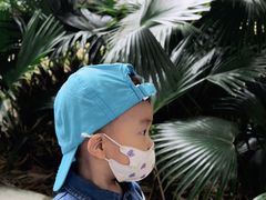 -晓港公园