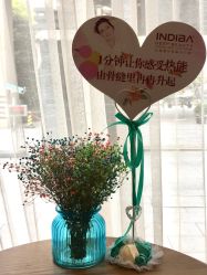 -海茱雅科技健康美容