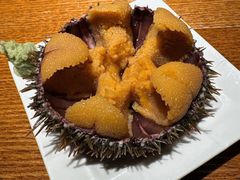 -桂马·日本料理·海胆·海鲜饭·酒场(民主广场店)