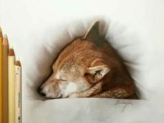 -八哥美术·成人美术画室(总校区)