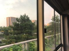 -海盗虾饭·剥好的小龙虾饭(上地辉煌店)