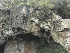 -树山生态村