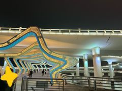 -演武大桥观景平台
