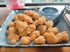 -柴犬高等学院·狗咖·柴犬售卖·宠物训练