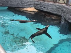 -香港海洋公园