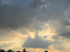 -广东花都湖国家湿地公园