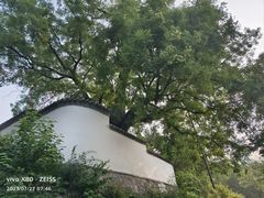 -香山公园