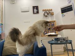 -iF摄影•全家福•证件照•形象照(南山店)