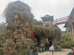 -东莞市可园博物馆