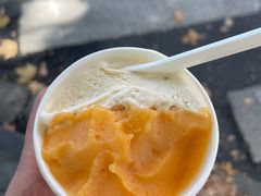 -Dip in Gelato(富民路店)