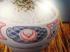 -吉野家(回龙观同成街店)