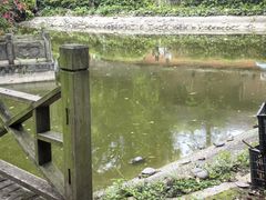 -成都市文殊院