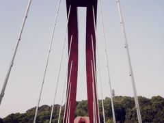 -玉树公园