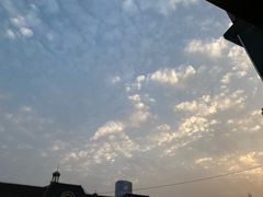 -皖北巫氏三胖地锅鸡(正大店)