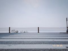 -临水阁农家乐饭店