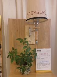-丝域养发馆